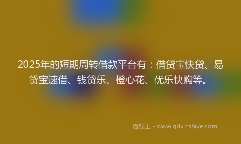 2025年的短期周转借款平台有：借贷宝快贷、易贷宝速借、钱贷乐、橙心花、优乐快购等。