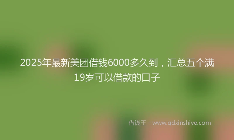 2025年最新美团借钱6000多久到，汇总五个满19岁可以借款的口子