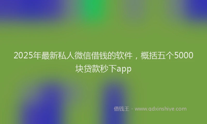 2025年最新私人微信借钱的软件，概括五个5000块贷款秒下app