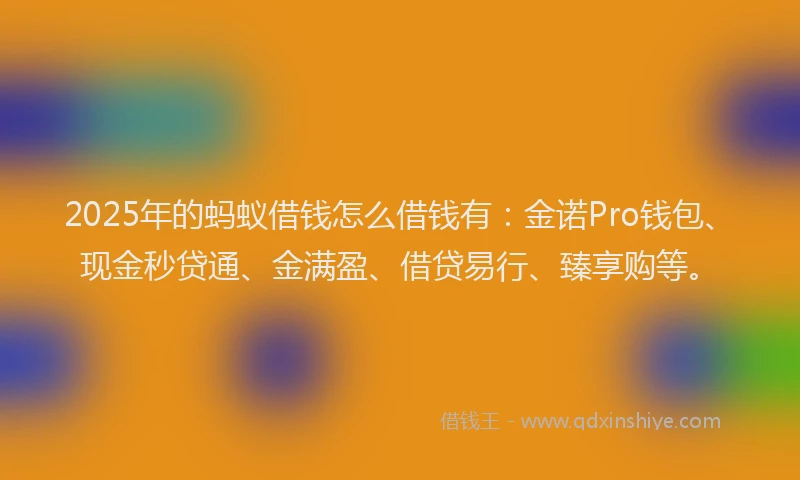 2025年的蚂蚁借钱怎么借钱有：金诺Pro钱包、现金秒贷通、金满盈、借贷易行、臻享购等。