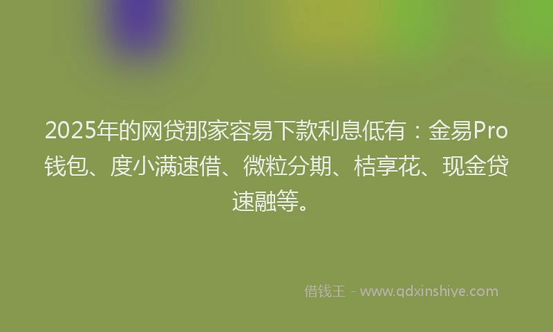 2025年的网贷那家容易下款利息低有：金易Pro钱包、度小满速借、微粒分期、桔享花、现金贷速融等。
