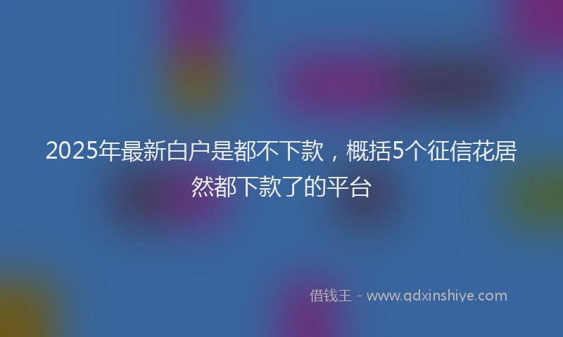 2025年最新白户是都不下款，概括5个征信花居然都下款了的平台