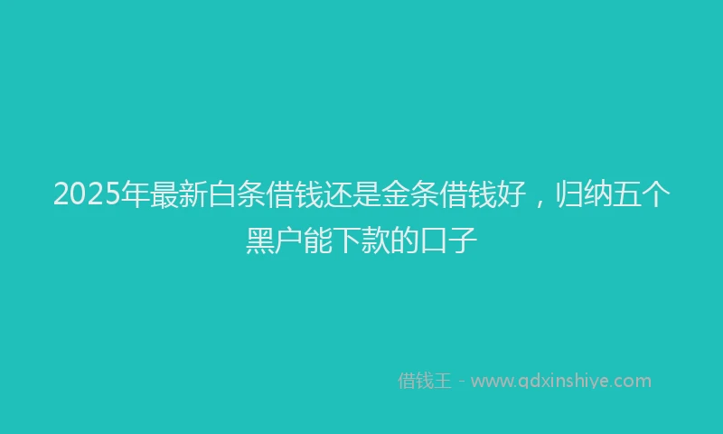 2025年最新白条借钱还是金条借钱好，归纳五个黑户能下款的口子