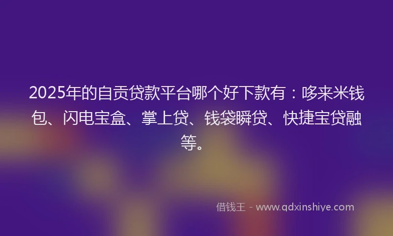 2025年的自贡贷款平台哪个好下款有：哆来米钱包、闪电宝盒、掌上贷、钱袋瞬贷、快捷宝贷融等。