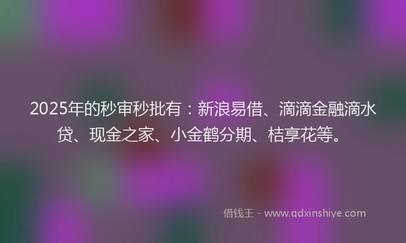 2025年的秒审秒批有：新浪易借、滴滴金融滴水贷、现金之家、小金鹤分期、桔享花等。