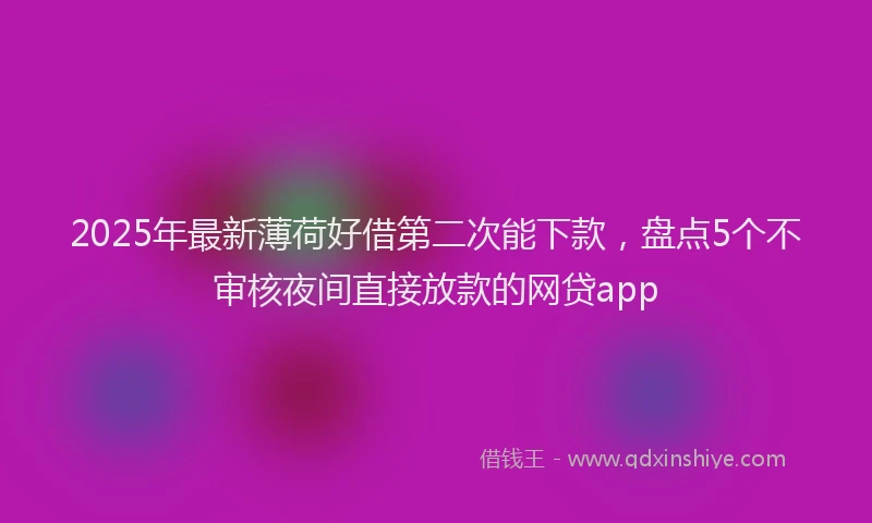 2025年最新薄荷好借第二次能下款，盘点5个不审核夜间直接放款的网贷app