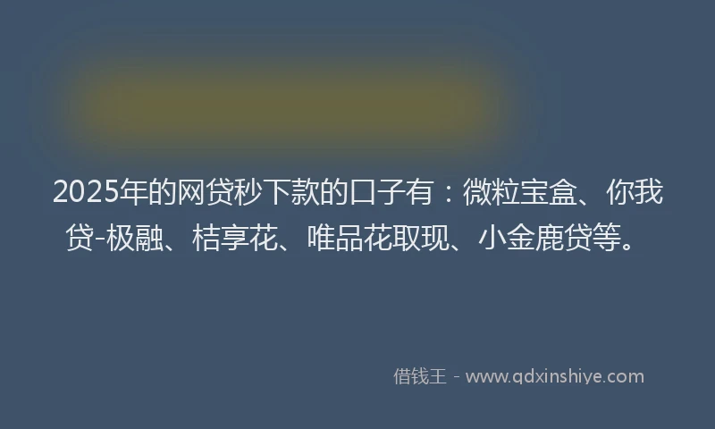2025年的网贷秒下款的口子有：微粒宝盒、你我贷-极融、桔享花、唯品花取现、小金鹿贷等。