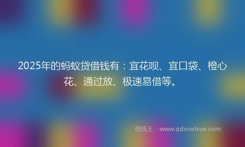 2025年的蚂蚁贷借钱有：宜花呗、宜口袋、橙心花、通过放、极速易借等。