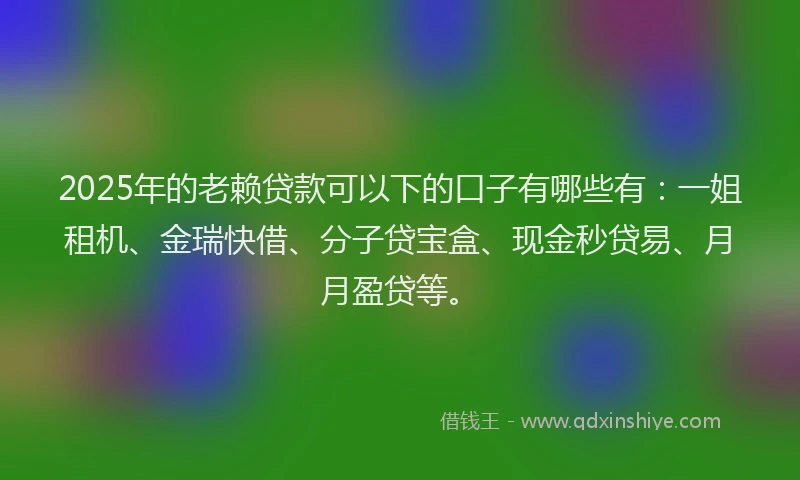 2025年的老赖贷款可以下的口子有哪些有：一姐租机、金瑞快借、分子贷宝盒、现金秒贷易、月月盈贷等。