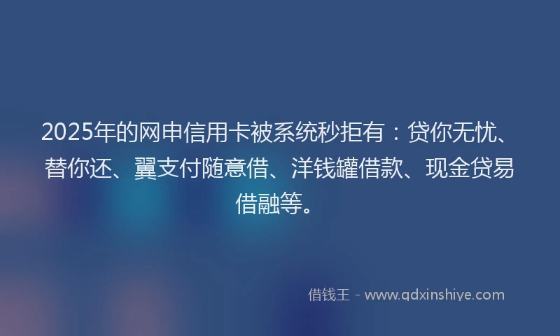 2025年的网申信用卡被系统秒拒有：贷你无忧、替你还、翼支付随意借、洋钱罐借款、现金贷易借融等。