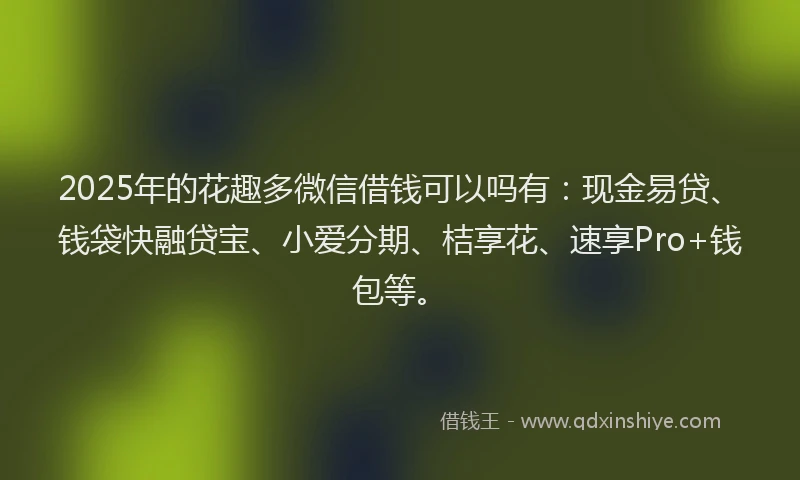 2025年的花趣多微信借钱可以吗有：现金易贷、钱袋快融贷宝、小爱分期、桔享花、速享Pro+钱包等。