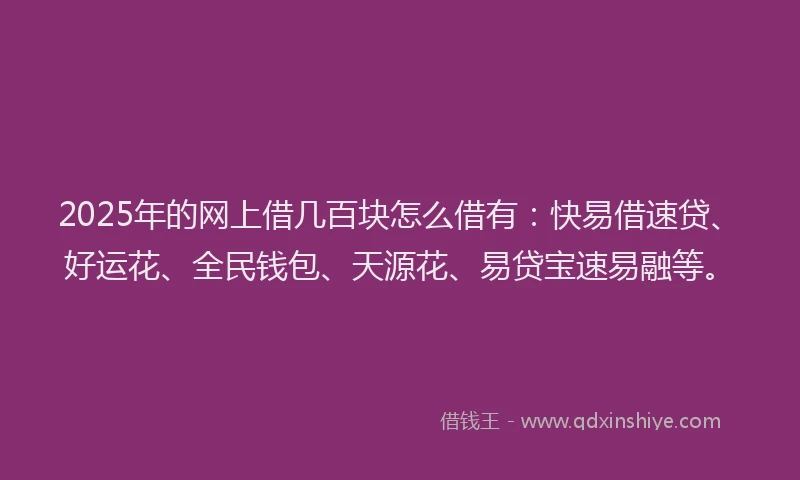 2025年的网上借几百块怎么借有：快易借速贷、好运花、全民钱包、天源花、易贷宝速易融等。