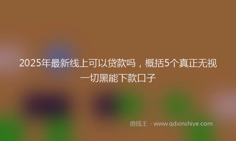 2025年最新线上可以贷款吗，概括5个真正无视一切黑能下款口子