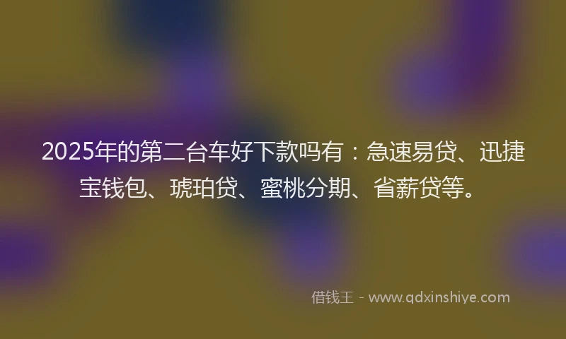 2025年的第二台车好下款吗有：急速易贷、迅捷宝钱包、琥珀贷、蜜桃分期、省薪贷等。