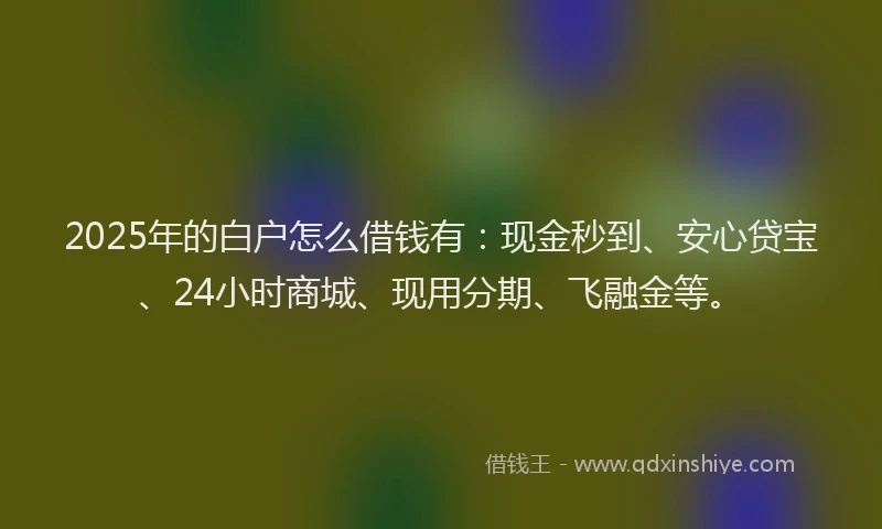 2025年的白户怎么借钱有：现金秒到、安心贷宝、24小时商城、现用分期、飞融金等。