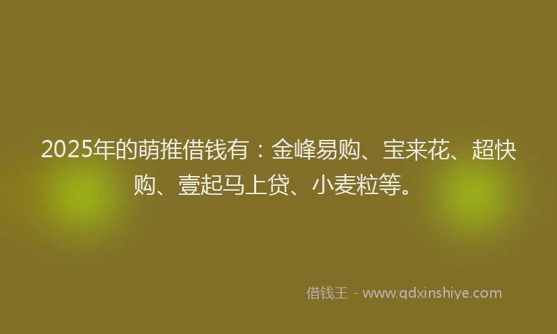 2025年的萌推借钱有：金峰易购、宝来花、超快购、壹起马上贷、小麦粒等。