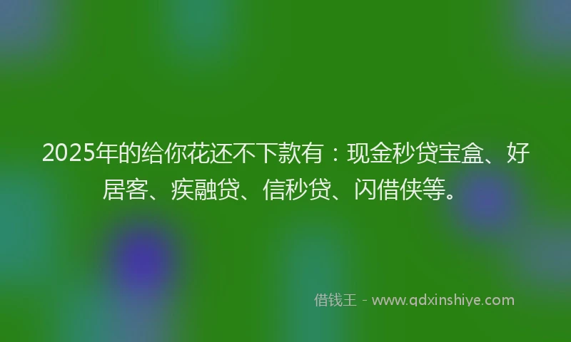 2025年的给你花还不下款有：现金秒贷宝盒、好居客、疾融贷、信秒贷、闪借侠等。