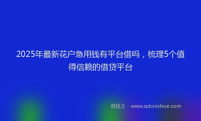 2025年最新花户急用钱有平台借吗，梳理5个值得信赖的借贷平台