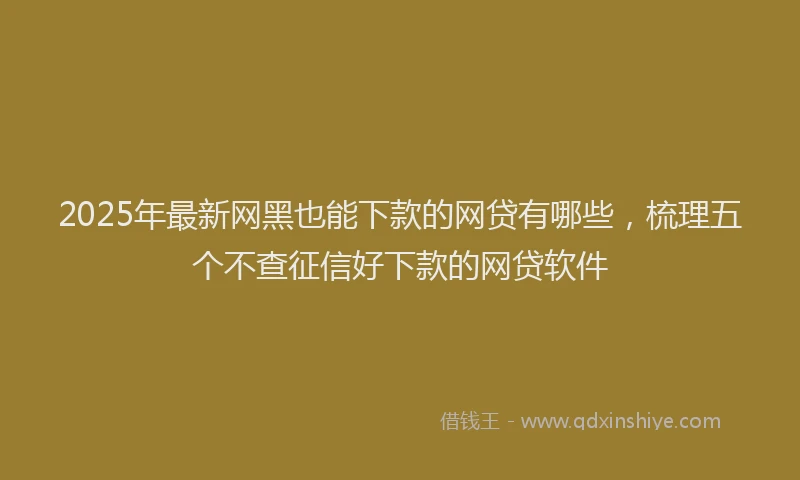 2025年最新网黑也能下款的网贷有哪些，梳理五个不查征信好下款的网贷软件