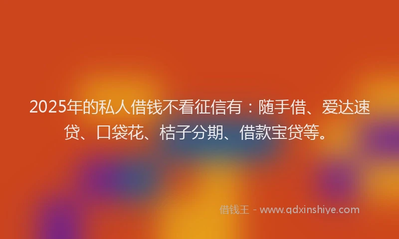 2025年的私人借钱不看征信有：随手借、爱达速贷、口袋花、桔子分期、借款宝贷等。