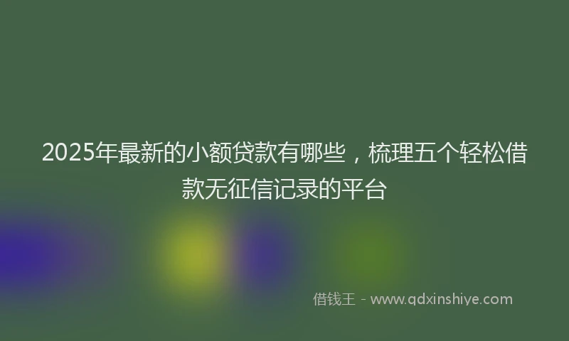 2025年最新的小额贷款有哪些，梳理五个轻松借款无征信记录的平台