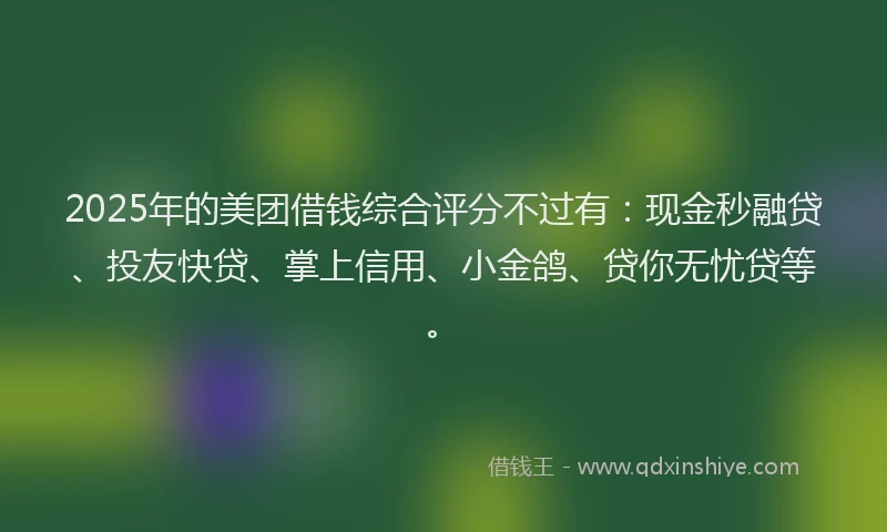 2025年的美团借钱综合评分不过有：现金秒融贷、投友快贷、掌上信用、小金鸽、贷你无忧贷等。