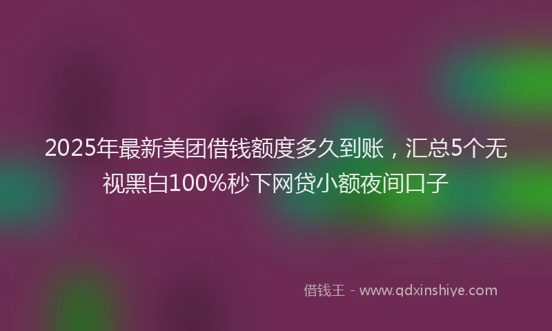 2025年最新美团借钱额度多久到账，汇总5个无视黑白100%秒下网贷小额夜间口子