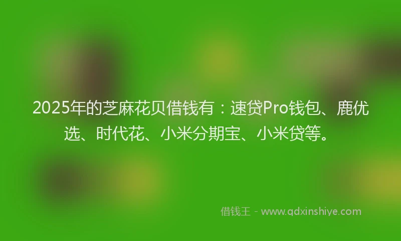 2025年的芝麻花贝借钱有：速贷Pro钱包、鹿优选、时代花、小米分期宝、小米贷等。