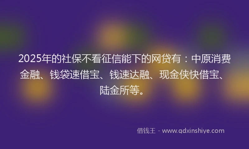 2025年的社保不看征信能下的网贷有：中原消费金融、钱袋速借宝、钱速达融、现金侠快借宝、陆金所等。