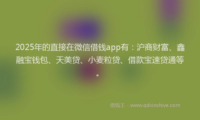2025年的直接在微信借钱app有：沪商财富、鑫融宝钱包、天美贷、小麦粒贷、借款宝速贷通等。