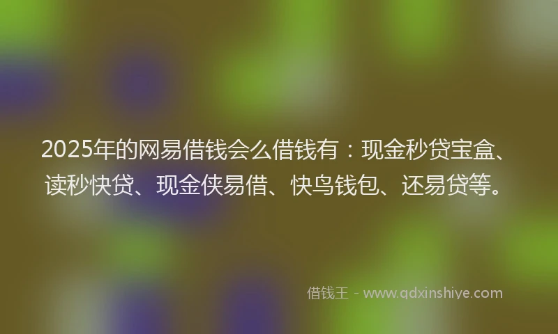 2025年的网易借钱会么借钱有：现金秒贷宝盒、读秒快贷、现金侠易借、快鸟钱包、还易贷等。