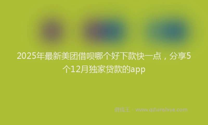 2025年最新美团借呗哪个好下款快一点，分享5个12月独家贷款的app