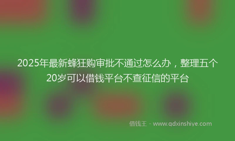 2025年最新蜂狂购审批不通过怎么办，整理五个20岁可以借钱平台不查征信的平台