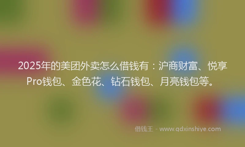 2025年的美团外卖怎么借钱有：沪商财富、悦享Pro钱包、金色花、钻石钱包、月亮钱包等。