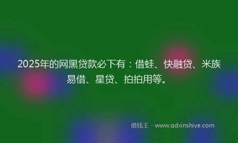 2025年的网黑贷款必下有：借蛙、快融贷、米族易借、星贷、拍拍用等。