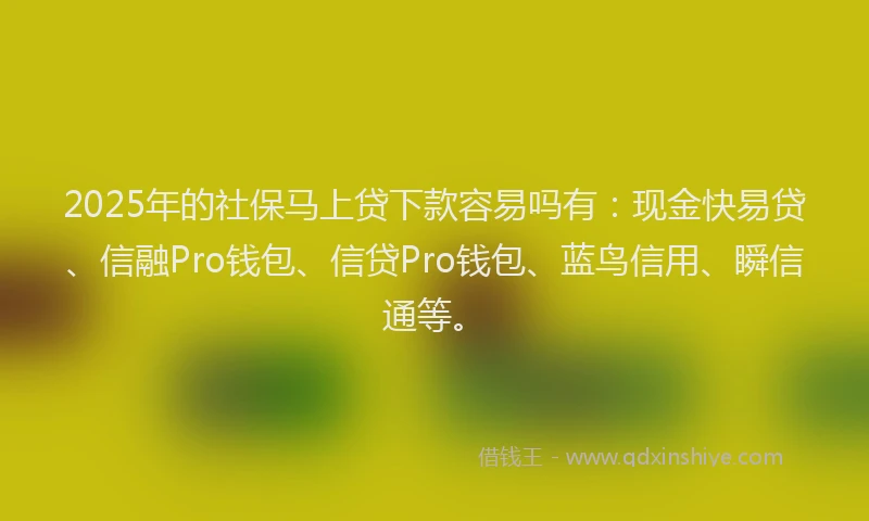 2025年的社保马上贷下款容易吗有：现金快易贷、信融Pro钱包、信贷Pro钱包、蓝鸟信用、瞬信通等。