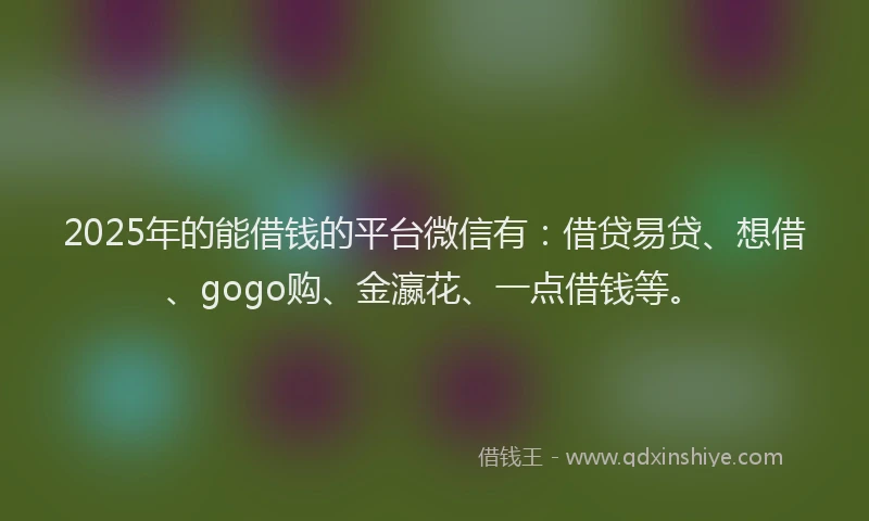 2025年的能借钱的平台微信有：借贷易贷、想借、gogo购、金瀛花、一点借钱等。