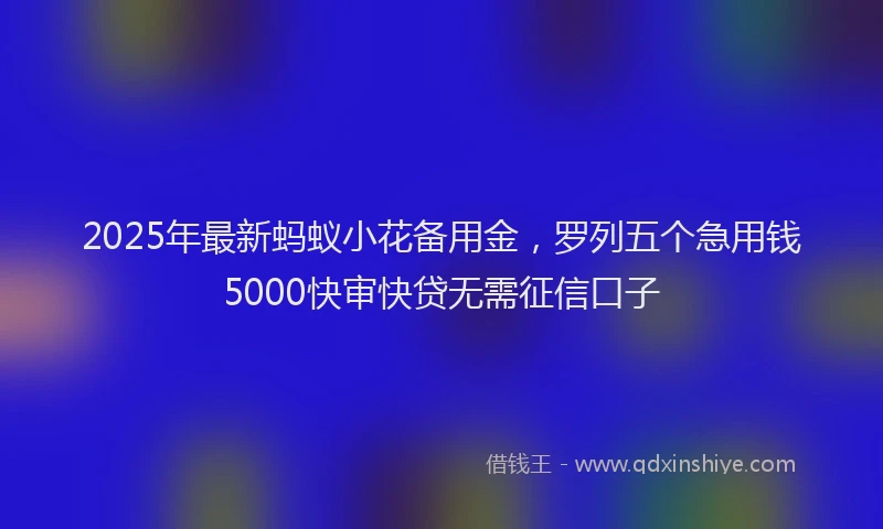 2025年最新蚂蚁小花备用金，罗列五个急用钱5000快审快贷无需征信口子
