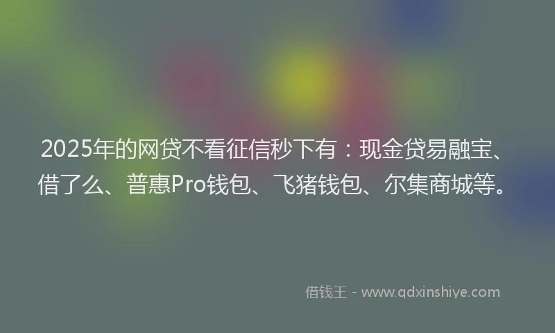 2025年的网贷不看征信秒下有：现金贷易融宝、借了么、普惠Pro钱包、飞猪钱包、尔集商城等。