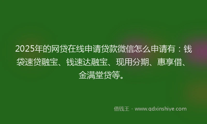 2025年的网贷在线申请贷款微信怎么申请有：钱袋速贷融宝、钱速达融宝、现用分期、惠享借、金满堂贷等。