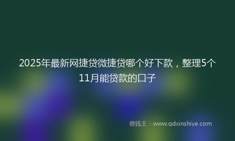 2025年最新网捷贷微捷贷哪个好下款，整理5个11月能贷款的口子