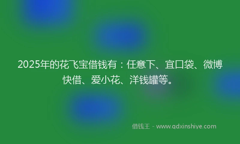2025年的花飞宝借钱有：任意下、宜口袋、微博快借、爱小花、洋钱罐等。