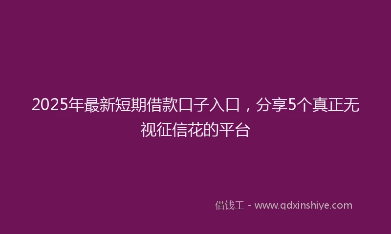 2025年最新短期借款口子入口，分享5个真正无视征信花的平台