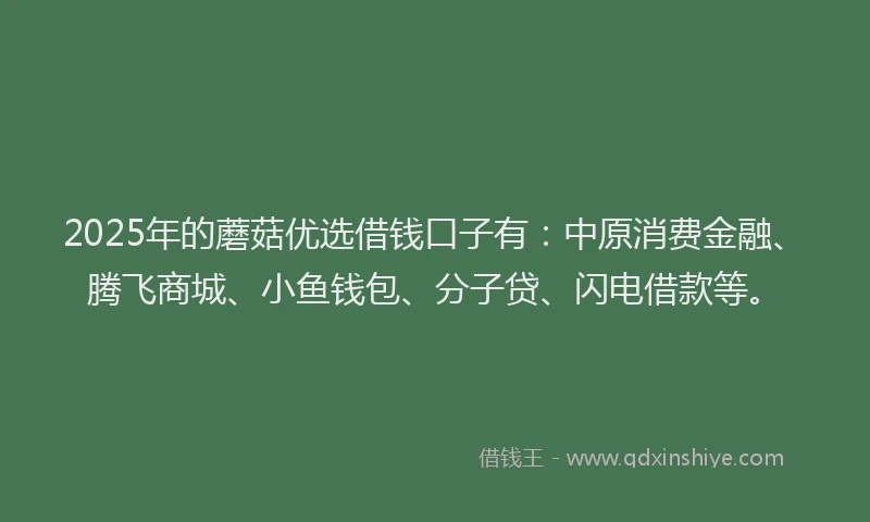 2025年的蘑菇优选借钱口子有：中原消费金融、腾飞商城、小鱼钱包、分子贷、闪电借款等。