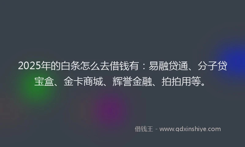 2025年的白条怎么去借钱有：易融贷通、分子贷宝盒、金卡商城、辉誉金融、拍拍用等。