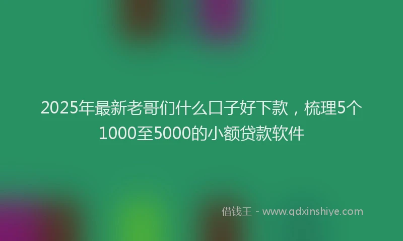 2025年最新老哥们什么口子好下款，梳理5个1000至5000的小额贷款软件