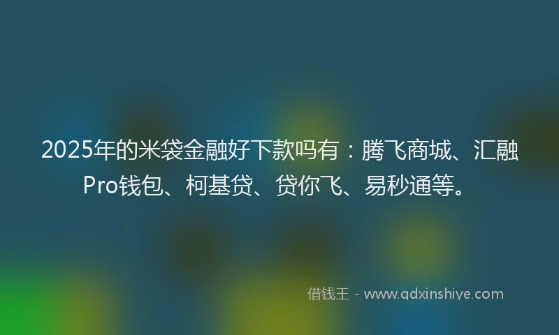 2025年的米袋金融好下款吗有：腾飞商城、汇融Pro钱包、柯基贷、贷你飞、易秒通等。
