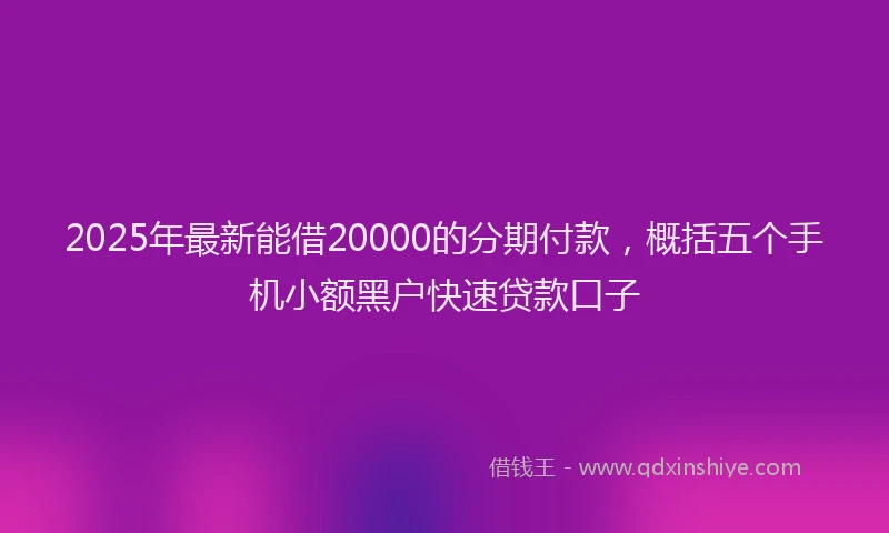 2025年最新能借20000的分期付款，概括五个手机小额黑户快速贷款口子