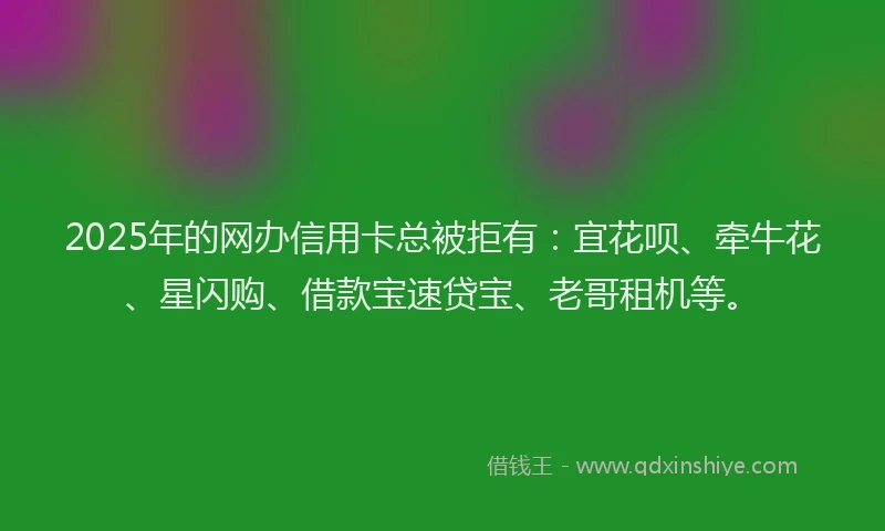 2025年的网办信用卡总被拒有：宜花呗、牵牛花、星闪购、借款宝速贷宝、老哥租机等。