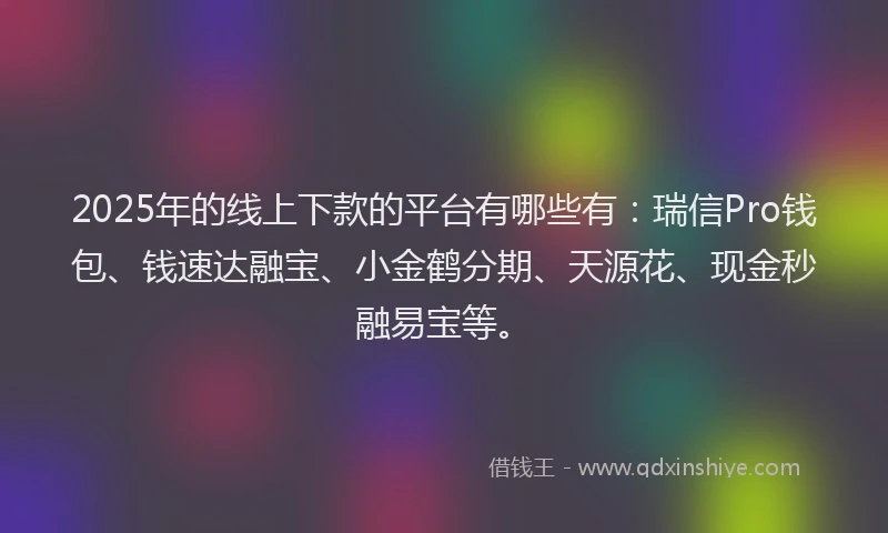 2025年的线上下款的平台有哪些有：瑞信Pro钱包、钱速达融宝、小金鹤分期、天源花、现金秒融易宝等。